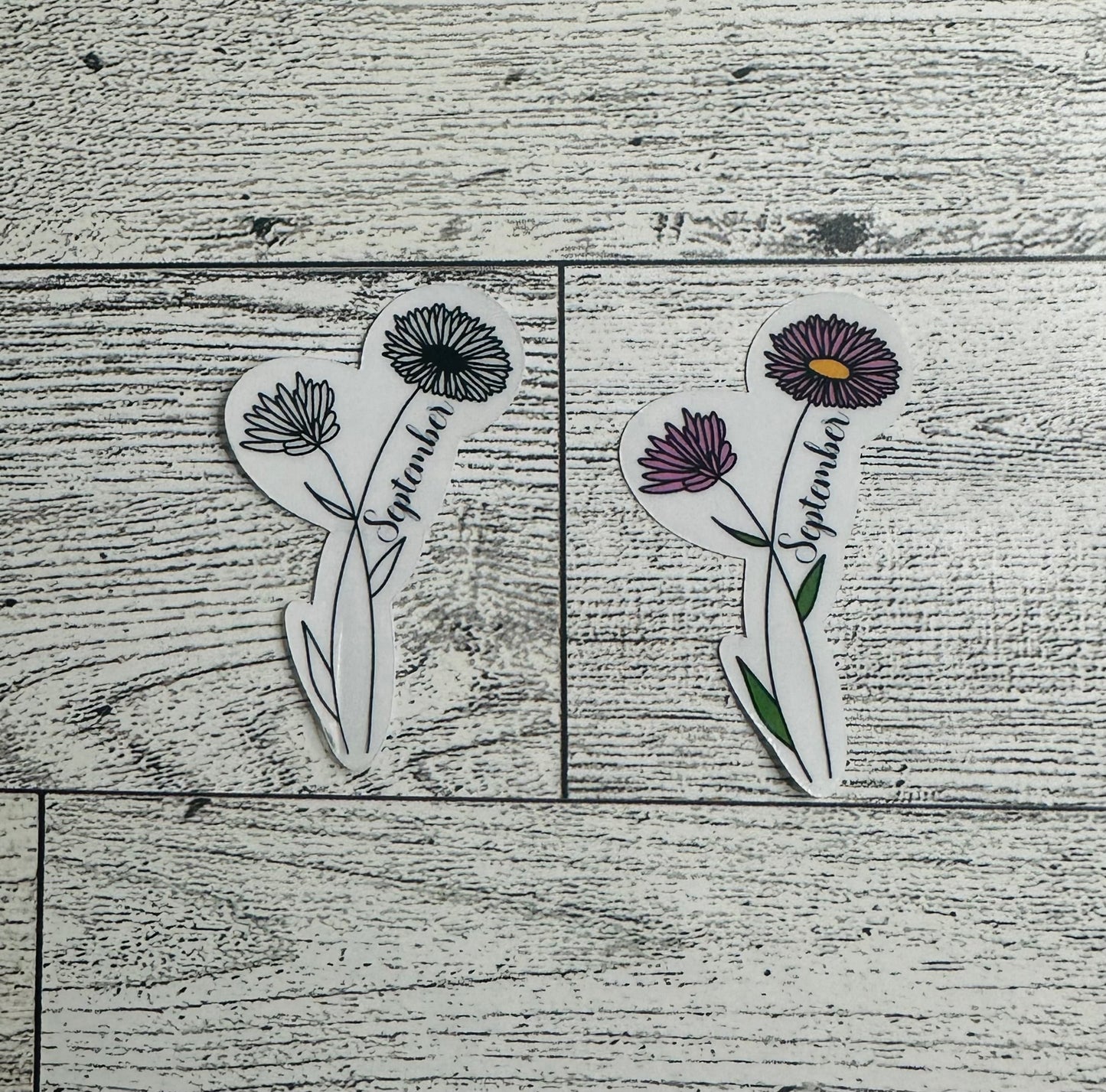 September Birth Flower Vinyl Sticker CLEAR